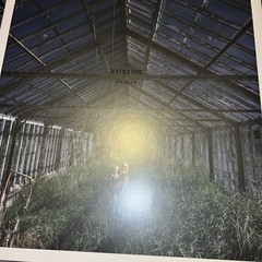Foxing Dealer Vinyl Record 12” Album Purple Marble Color Vinyl LP