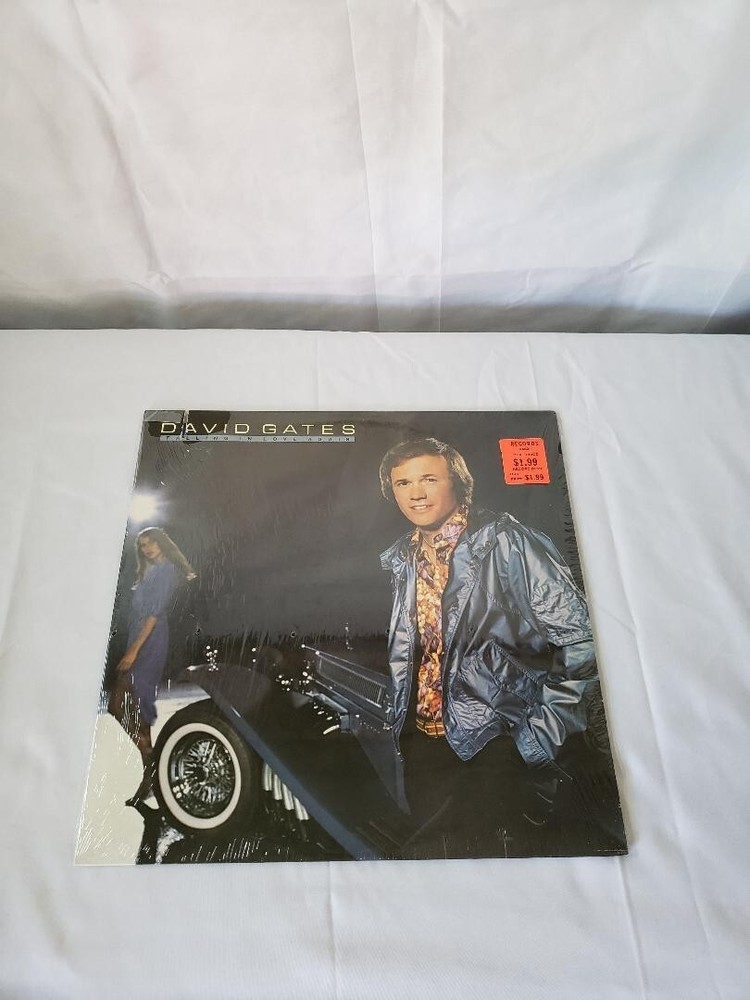 DAVID GATES ~ FALLING IN LOVE AGAIN ~ 6E-251 ~ 1980 ~ LP ~ EX