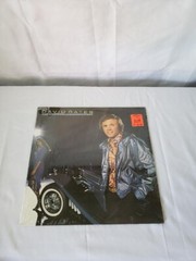 DAVID GATES ~ FALLING IN LOVE AGAIN ~ 6E-251 ~ 1980 ~ LP ~ EX