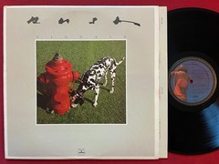 RUSH~SIGNALS LP (1982) ORIG 1ST PRESS VG+ MERCURY SRM-1-4063 (53) STEREO