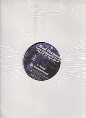 soul purpose take cover ! ft. pumpkinseed 12″ sealed