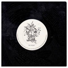 The Chrysanthemums – The XXXX Sessions (VINYL)