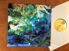 the associates sulk club country lp original vinyl us sire 1982 new wave synth!