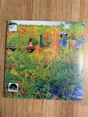 JHENE AIKO Trip USA 2LP Picture Disc Vinyl RSD Record Store Day 2026 Sealed