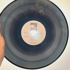 Windham Hill Records Sampler ’84 (Translucent) – 12″ Vinyl Record LP – EX