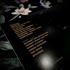 The Universal Theory Original Score Vinyl Record Album By Diego Ramos Rodriguez