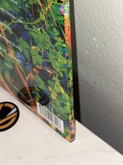 NEW SEALED VINYL – JHENE AIKO – TRIP – RSD 2026 PICTURE DISC EXCLUSIVE 2LP