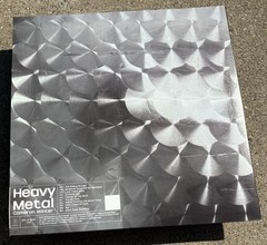 CAMERON WINTER Heavy Metal Silver Vinyl Record GEESE