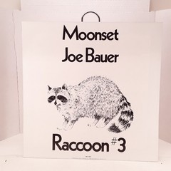JOE BAUER/MOONSET/1971/WLPROMO/WITH PICTURE INSERT/VG/EX
