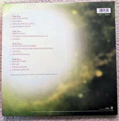 Jimi Hendrix ‘South Saturn Delta’ 2xLP, MINT ultrasonically cleaned vinyl