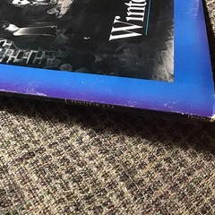 WINTER HOURS 1989 SELF-TITLED PROMO LP CHRYSALIS PRINT VINTAGE VINYL