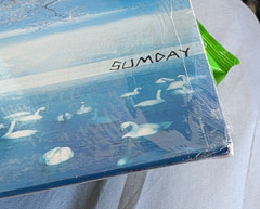 Sumday by Grandaddy (Vinyl, Original 2003, 2 Discs, V2 Records USA)