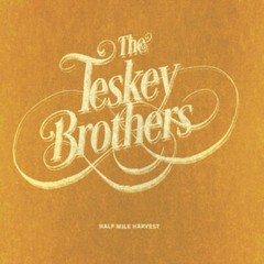 The Teskey Brothers ‎– Half Mile Harvest LP BLACK VINYL ALBUM SEALED NEW RECORD