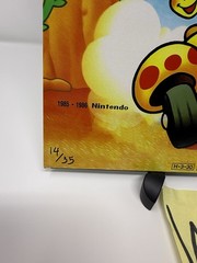 Super Mario Bros. Nintendo Vinyl VGM LP SOUNDTRACK not Moonshake Koji 14/35