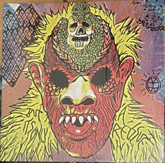 OH SEES Master’s Bedroom LP WHITE coachwhips pink brown damaged bug Yikes Netmen