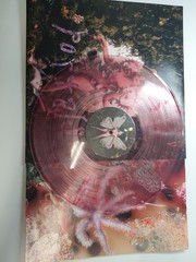 Melanie Martinez Portals Clear/Red Colored Vinyl LP 12″ Record