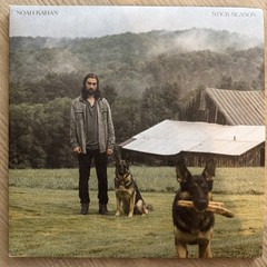 Noah Kahan Stick Season LP Vinyl Chestnut Colored Exclusive