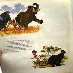 Walt Disney The Jungle Book Disneyland 3948 LP & Illustrated Book 1967