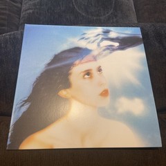 Magdalena Bay Imaginal Disk Vinyl LP Blood Records Limited Edition
