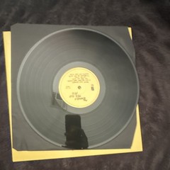 The Beatles This Old Dog 12″ Black Vinyl LP Record in Paper Sleeve