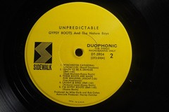 Gypsy Boots And The Nature Boys Rock LP Unpredictable on Sidewalk