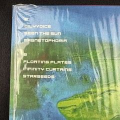 Ed Wynne Gre Vanderloo Tumbling Through The Floativerse Vinyl LP NM Ozric Tentac