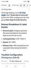 Nuthin But A Come Up ~Dem’ Boyz Fromda’ Kountry ~1996 ~Vintage Vinyl~ Ultra Rare