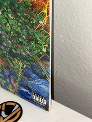 NEW SEALED VINYL – JHENE AIKO – TRIP – RSD 2026 PICTURE DISC EXCLUSIVE 2LP