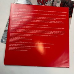 OH SEES ‘Warm Slime LP GREEN coachwhips pink brown fuzz damaged bug Yikes Netmen
