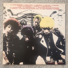 PURE HELL – NOISE ADDICTION (LIMITED EDITION) VINYL LP Mint