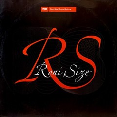 RARE 2002 Roni Size – Sound Advice – Full Cycle Records – Drum and Bass – Fire