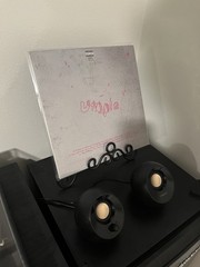 Vinyl Record Lot Hip Hop
