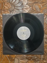 Crazy Heart (Original Motion Picture Soundtrack) – Vinyl LP)