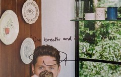 ✍️ Signed ✍️ NIALL HORAN DINNER PARTY Autographed on Sleeve with Lyric Olive LP