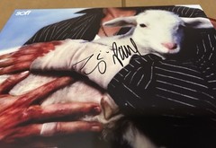 LANY SIGNED SOFT JAKE GROSS PAUL KLEIN LP COLOR VINYL ROUGH TRADE NYC 4/9/26