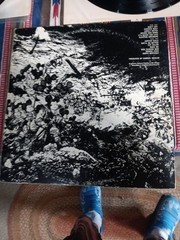 Steppenwolf At Your Birthday Party DS50053 1972 VINYL ULTRASONIC CLEANED