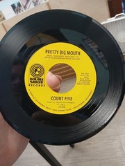 RARE Count Five Mailman / Pretty Big Mouth 45RPM 7″ Vinyl Record Garage Rock Pop
