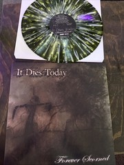 It Dies Today Forever Scored 2002 EP Only Pressing 2000s Metalcore Hardcor