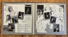 Lot of 3 Rod Stewart LP’s Never Dull Moment Every Picture Tells Gasoline Alley