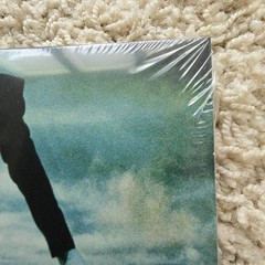 Armor For Sleep What To Do When You Are Dead Transparent Green Vinyl New /500