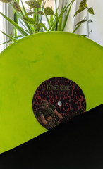 DOOM 1993 Video Game Soundtrack vinyl LP, BFG edition, ltd. 100 copies + pin