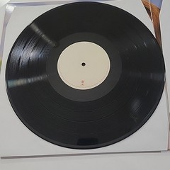Born to Die by Del Rey, Lana (Record, 2012) Near Mint