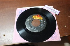 THE HOLLYWOOD ARGYLES ALLEY-OOP / THE CASTAWAYS LIAR LIAR 45 RPM RECORD