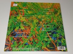 Jhene Aiko – Trip Picture Disc Vinyl 2LP RSD 2026 New