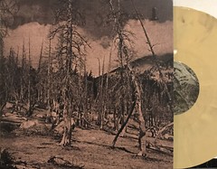 Hate Forest – Sorrow LP 2023 Osmose Productions – OPLP260 [White Marble] New *FR