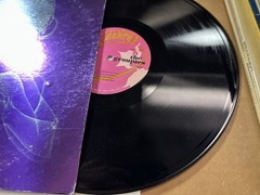 The Groupies LP Vinyl Record Unknown Artist Earth ELPS 1000