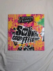 5 SECONDS OF SUMMER – SOUNDS GOOD FEELS GOOD 2015 Vinyl LP 180g 4753191