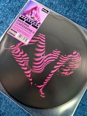 MADONNA x GRINDR SEALED CONFESSIONS II 12” PICTURE DISC Promo Hype