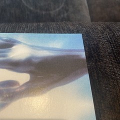 Magdalena Bay Imaginal Disk Vinyl LP Blood Records Limited Edition