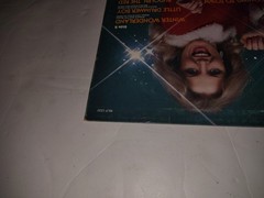 The Mistletoe Disco Band Christmas Disco Vinyl Records Holiday Party Time